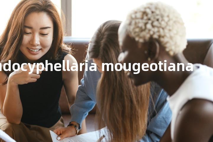 pseudocyphellaria mougeotiana单词图解，单词释义场景配图