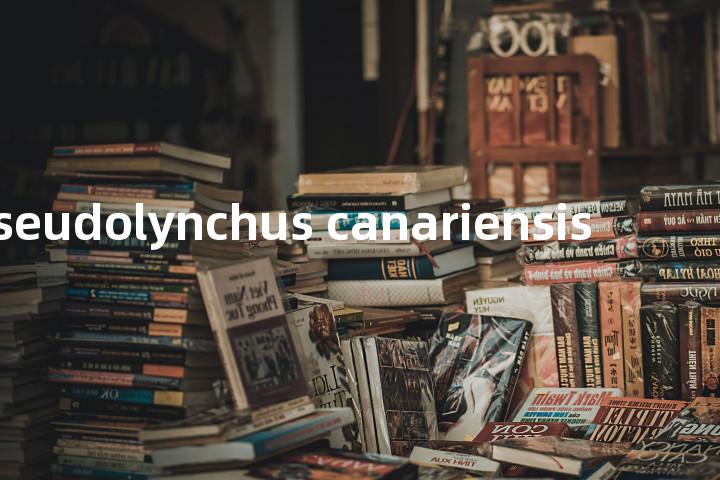 pseudolynchus canariensis单词图解，单词释义场景配图