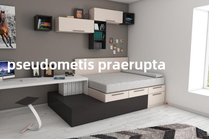 pseudometis praerupta单词图解，单词释义场景配图