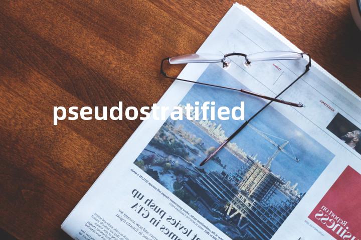 pseudostratified单词图解，单词释义场景配图