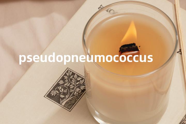 pseudopneumococcus单词图解，单词释义场景配图