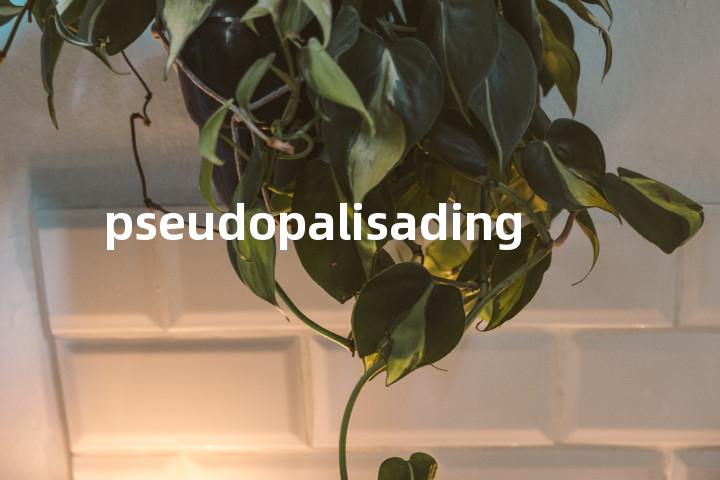 pseudopalisading单词图解，单词释义场景配图