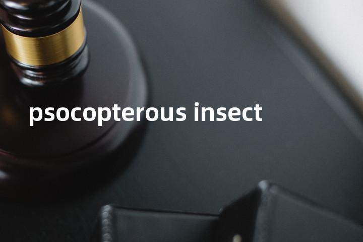 psocopterous insect单词图解，单词释义场景配图
