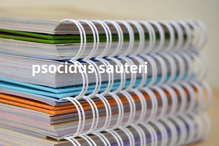 psocidus sauteri单词图解，单词释义场景配图