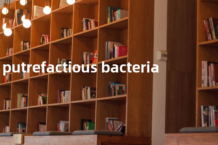 putrefactious bacteria单词图解，单词释义场景配图