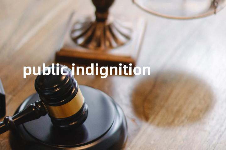 public indignition单词图解，单词释义场景配图