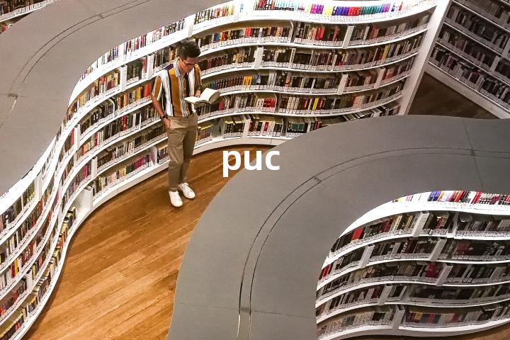 puc单词图解，单词释义场景配图