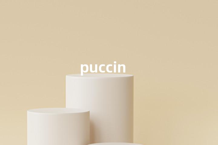 puccin单词图解，单词释义场景配图