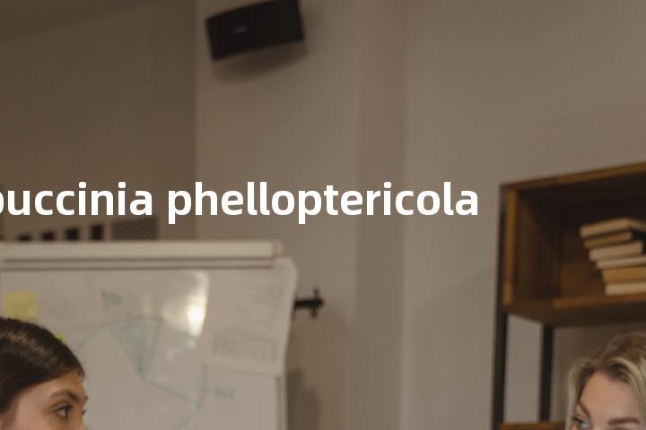 puccinia phelloptericola单词图解，单词释义场景配图
