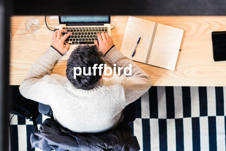 puffbird单词图解，单词释义场景配图