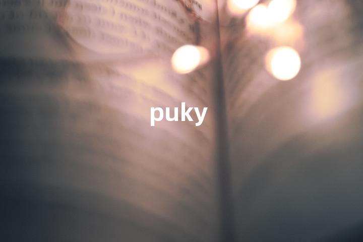puky单词图解，单词释义场景配图