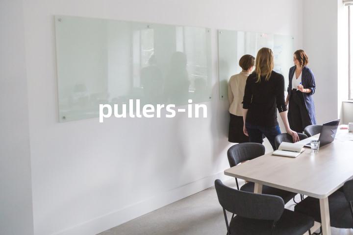 pullers-in单词图解，单词释义场景配图