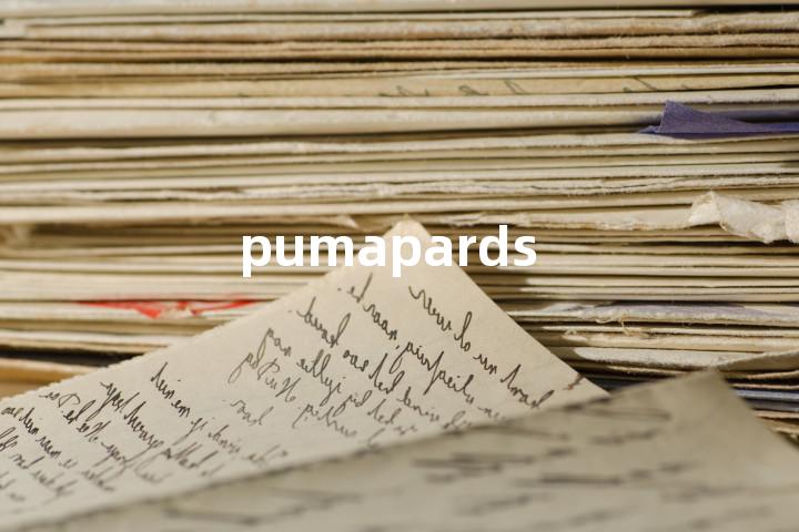 pumapards单词图解，单词释义场景配图