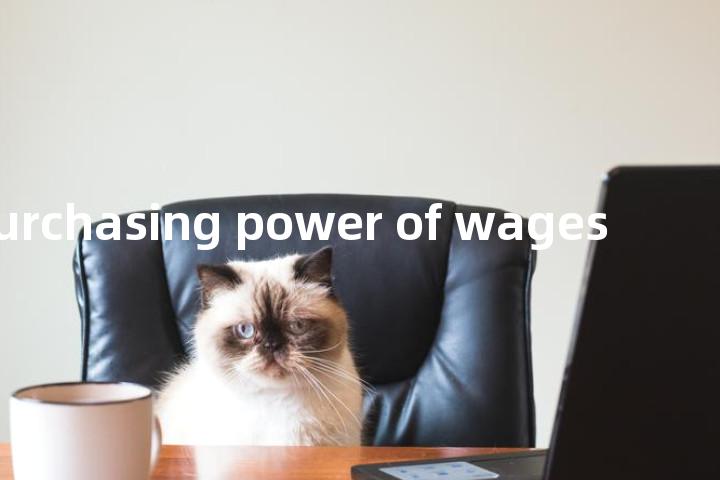 purchasing power of wages单词图解，单词释义场景配图