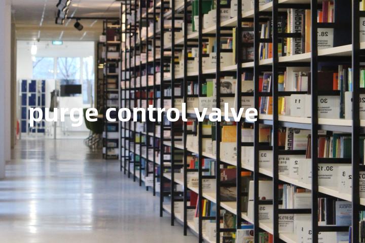 purge control valve单词图解，单词释义场景配图