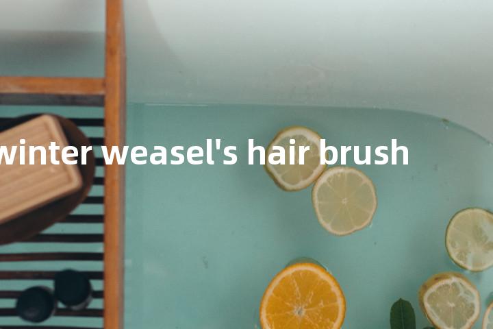 pure winter weasel's hair brush单词图解，单词释义场景配图