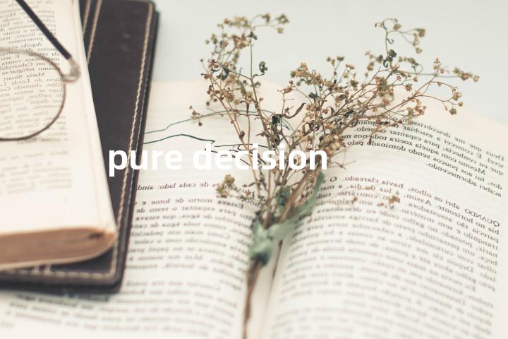 pure decision单词图解，单词释义场景配图