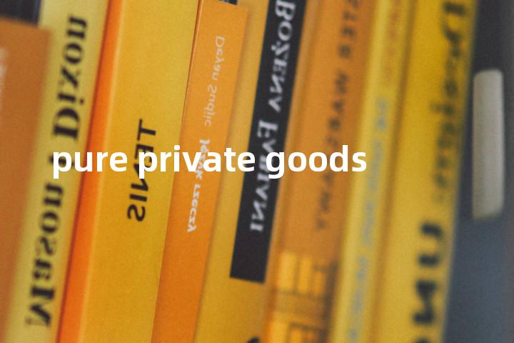 pure private goods单词图解，单词释义场景配图