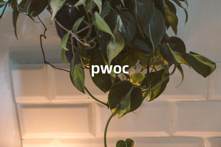 pwoc单词图解，单词释义场景配图
