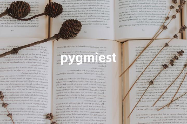 pygmiest单词图解，单词释义场景配图