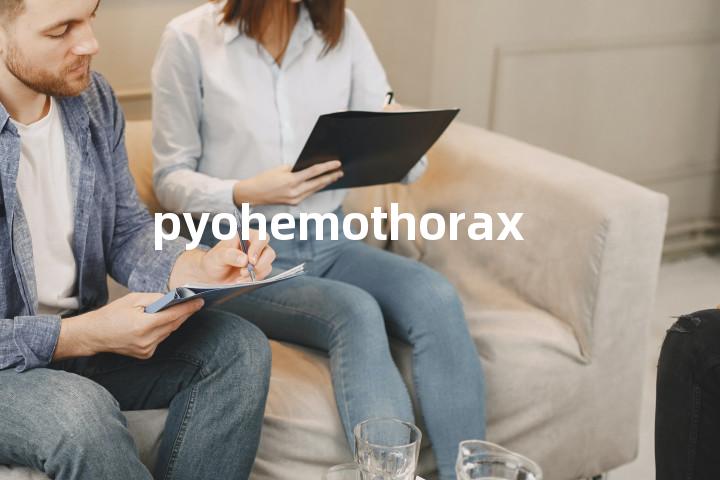 pyohemothorax单词图解，单词释义场景配图