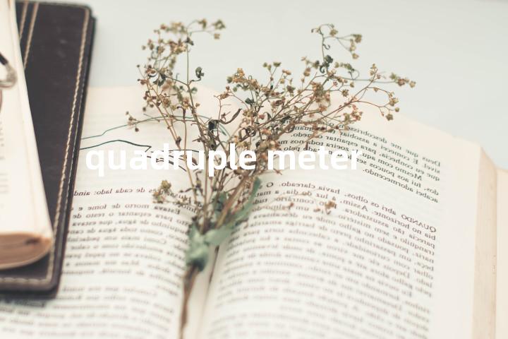 quadruple meter单词图解，单词释义场景配图