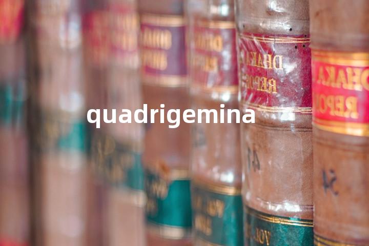 quadrigemina单词图解，单词释义场景配图