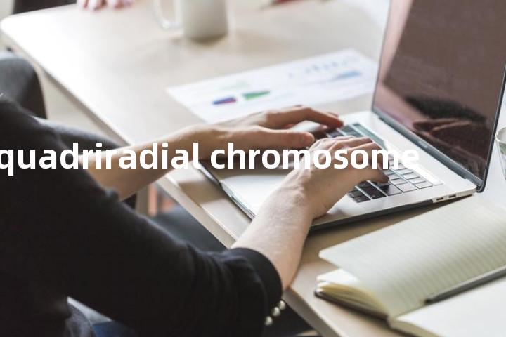 quadriradial chromosome单词图解，单词释义场景配图