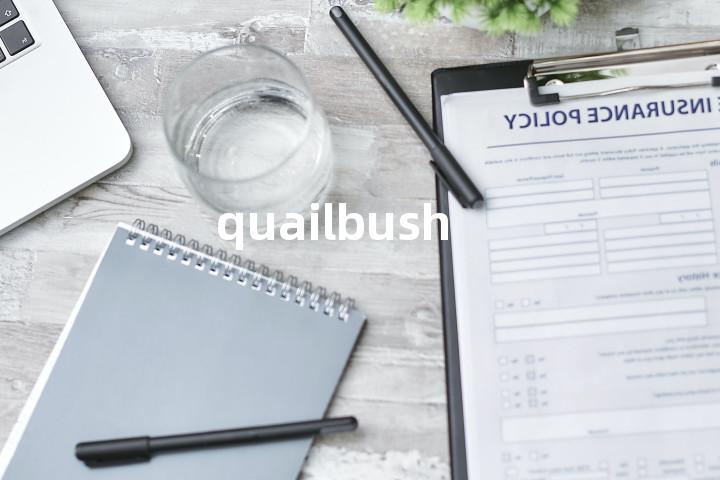 quailbush单词图解，单词释义场景配图