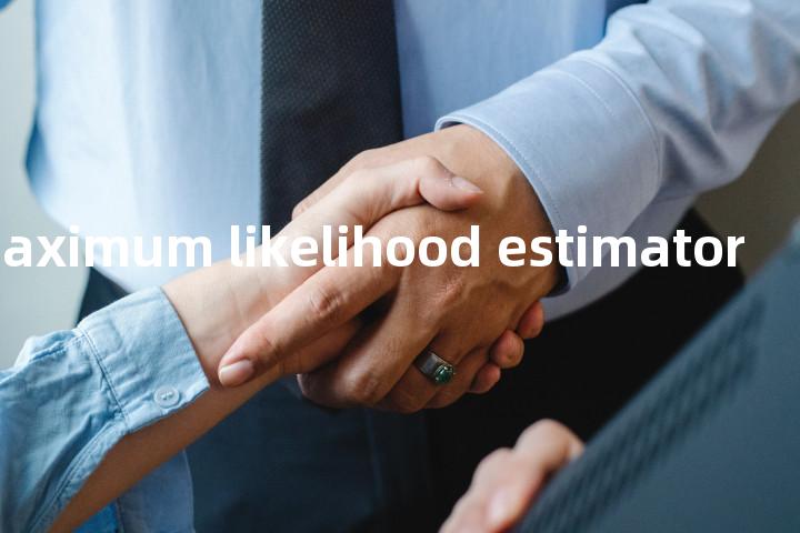 quasi maximum likelihood estimator单词图解，单词释义场景配图