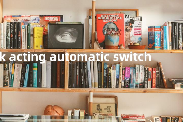 quick acting automatic switch单词图解，单词释义场景配图