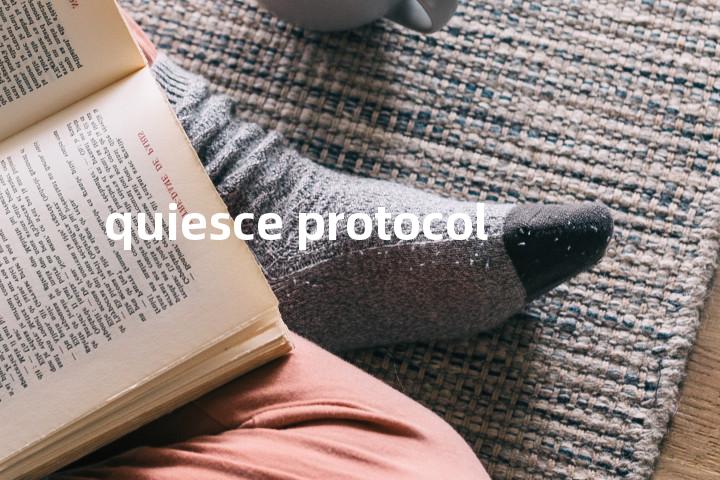 quiesce protocol单词图解，单词释义场景配图