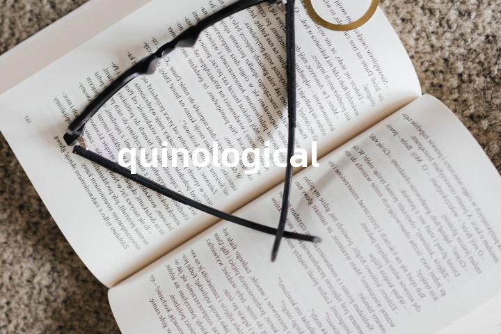 quinological单词图解，单词释义场景配图