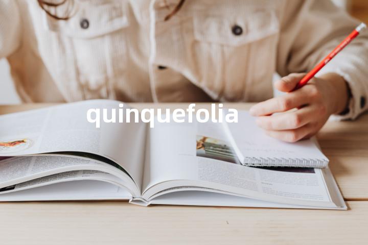 quinquefolia单词图解，单词释义场景配图