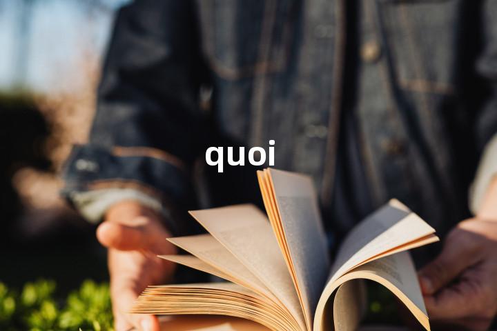 quoi单词图解，单词释义场景配图