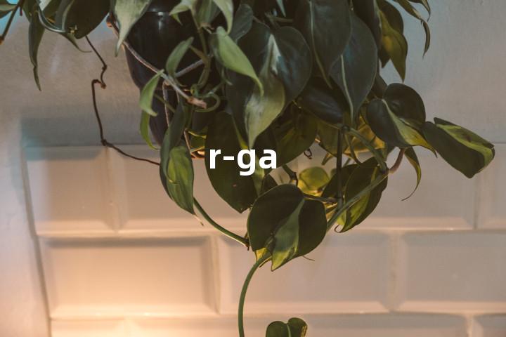 r-ga单词图解，单词释义场景配图