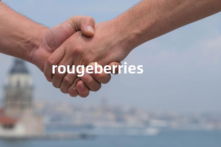 rougeberries单词图解，单词释义场景配图