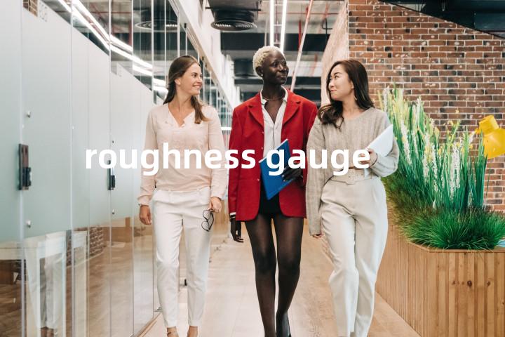 roughness gauge单词图解，单词释义场景配图