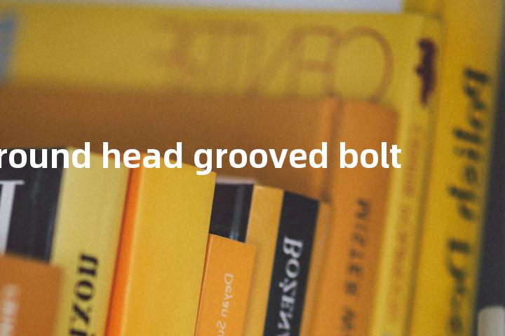 round head grooved bolt单词图解，单词释义场景配图