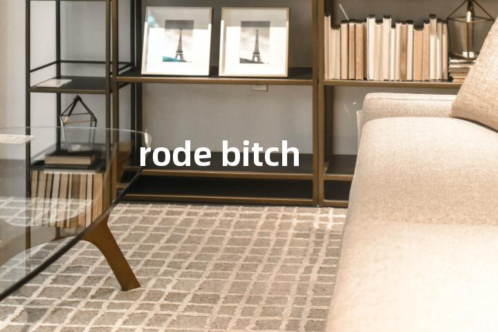 rode bitch单词图解，单词释义场景配图