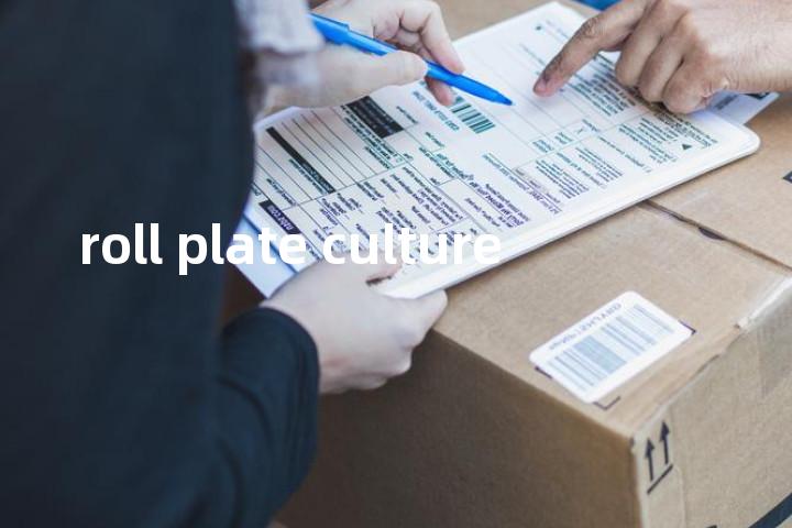 roll plate culture单词图解，单词释义场景配图