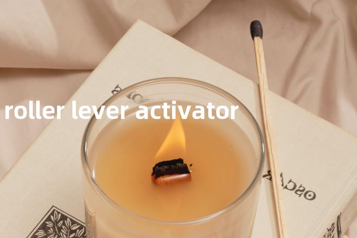 roller lever activator单词图解，单词释义场景配图