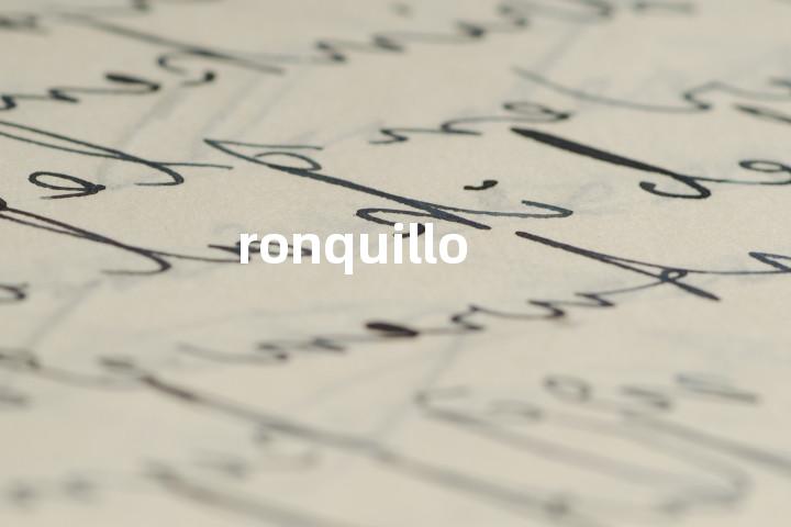 ronquillo单词图解，单词释义场景配图