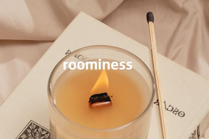 roominess单词图解，单词释义场景配图