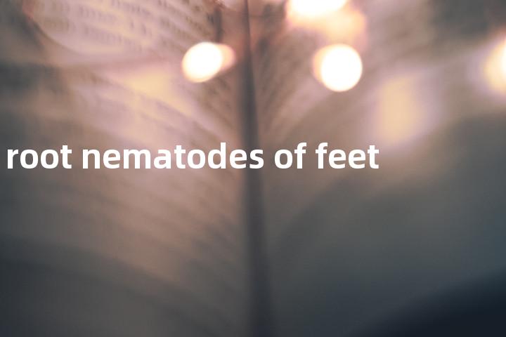 root nematodes of feet单词图解，单词释义场景配图