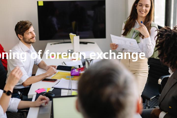 rationing of foreign exchange单词图解，单词释义场景配图