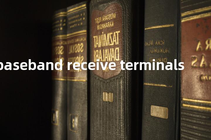 radio baseband receive terminals单词图解，单词释义场景配图