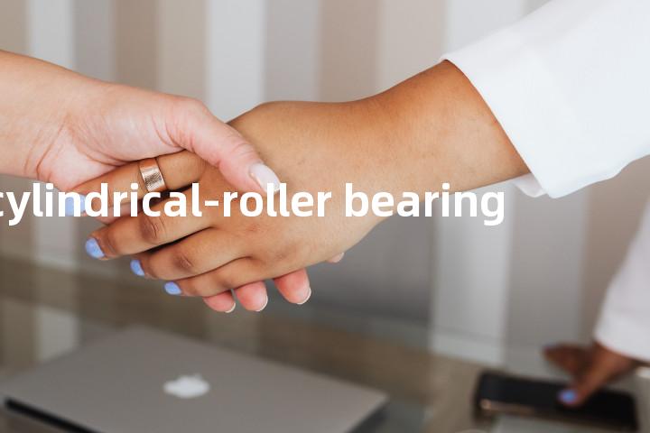 radial cylindrical-roller bearing单词图解，单词释义场景配图