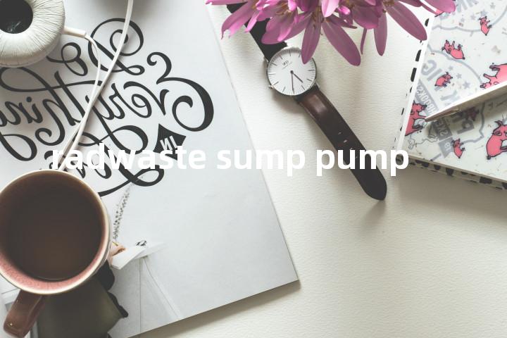 radwaste sump pump单词图解，单词释义场景配图