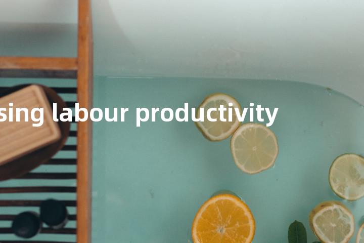 raising labour productivity单词图解，单词释义场景配图